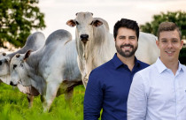 Rafael Alcantara e Arthur Bertola - R2A Cobrancas