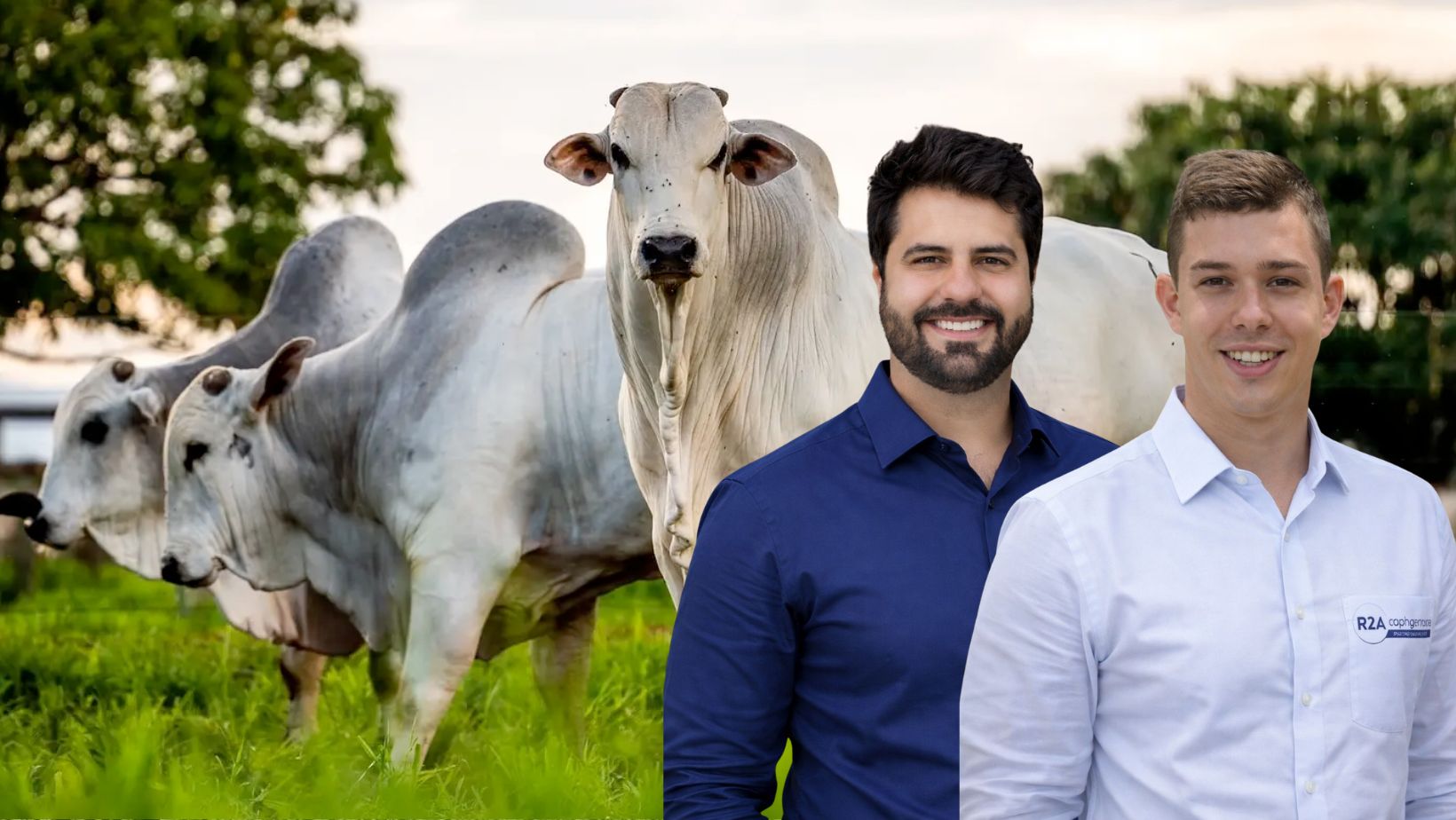 Rafael Alcantara e Arthur Bertola - R2A Cobrancas