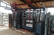 Contenções improvisadas, antigas ou produtos inadequados ao volume de atividade alcançada ou à evolução da propriedade colocam em risco tanto sua equipe quanto seus animais