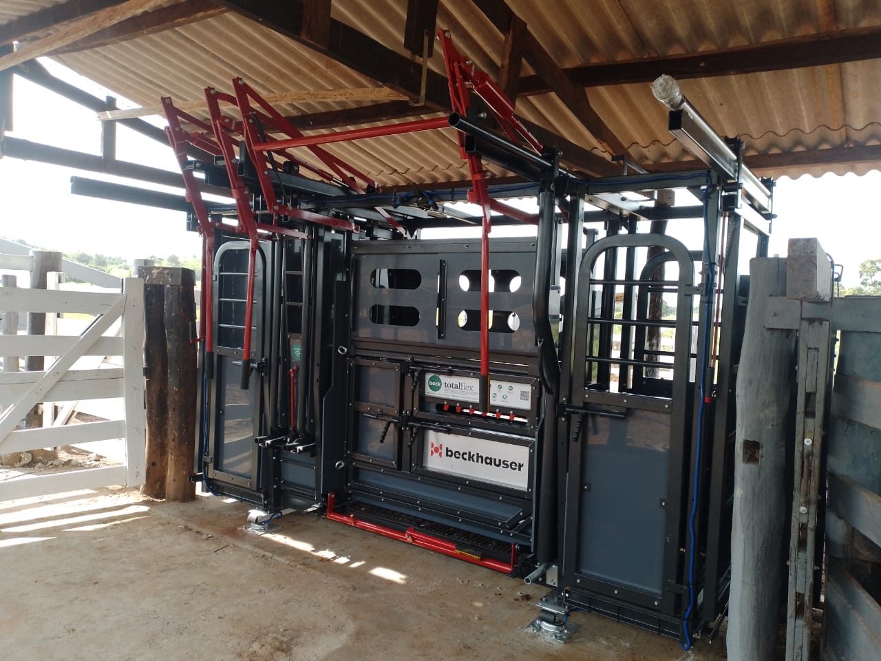 Contenções improvisadas, antigas ou produtos inadequados ao volume de atividade alcançada ou à evolução da propriedade colocam em risco tanto sua equipe quanto seus animais