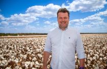 Gestão, liderança e inovação estarão em debate na 36ª Abertura da Colheita do Arroz