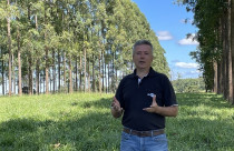 Pesquisadores da Embrapa participam de grupo consultivo técnico da FAO