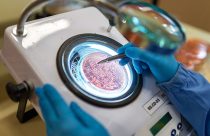 Uso de bioinsumos eleva em mais de 8% a produtividade da soja no Paraná