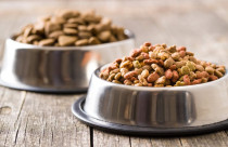 Brasil habilita 40 plantas de pet food para exportação à Costa Rica