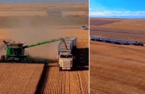 Caminhão militar no agro: gigante de 700 cv impressiona ao assumir trabalho pesado; vídeo