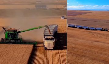 Caminhão militar no agro: gigante de 700 cv impressiona ao assumir trabalho pesado; vídeo