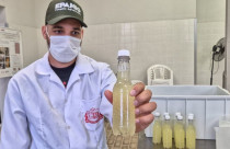 “Refrigerante do Bem”: bebida mineira feita de soro de leite une saúde e sustentabilidade