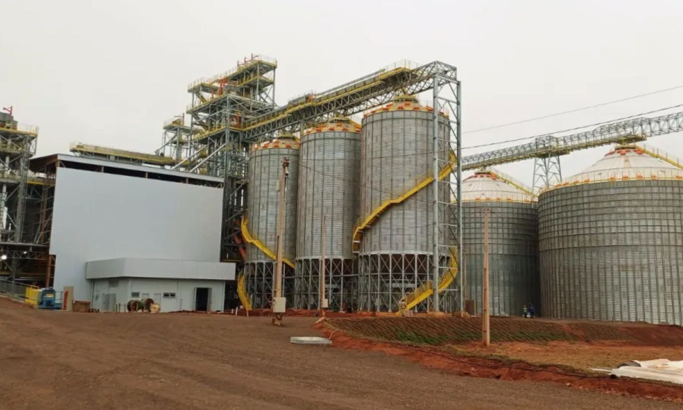 Foto: Divulgação/Coamo