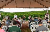 Cecafé e Emater-MG avançam em ações do programa Construindo Solos Saudáveis