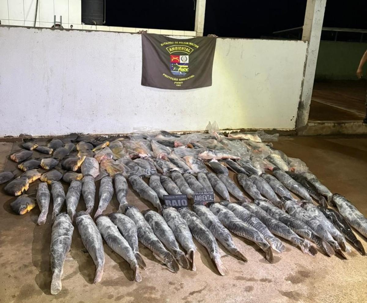Polícia apreende 340 kg de peixe ilegal e prende homem em flagrante