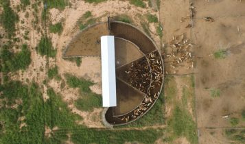 fazenda à venda no paraguai