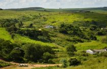 Justiça suspende venda de terra marcada por conflitos fundiários em Pernambuco