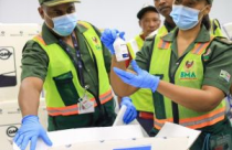 África do Sul recebe 1º lote de vacinas da Biogénesis Bagó para ajudar a conter emergência sanitária pelo surto de febre aftosa