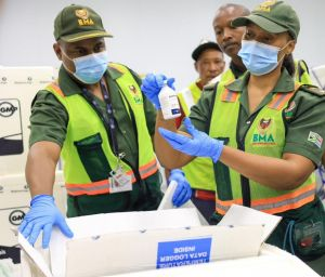 África do Sul recebe 1º lote de vacinas da Biogénesis Bagó para ajudar a conter emergência sanitária pelo surto de febre aftosa