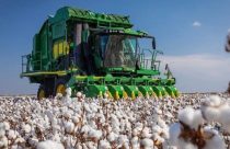 Ritmo Industrial: 5 máquinas que operam em velocidades que a mente humana não consegue acompanharRitmo Industrial: 5 máquinas que operam em velocidades que a mente humana não consegue acompanhar