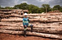 Recorde histórico no tratamento de cargas agrícolas e florestais no terminal de Rondonópolis