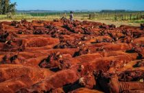 ANC supera 100 mil registros em 2025 e avança 65% em um ano