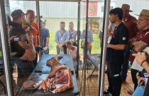 Programa Carne Angus Certificada promove desossa técnica no Show Rural Coopavel