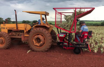 Produtor transforma sucata em máquinas agrícolas, revoluciona o plantio de abacaxi e conquista a Ásia