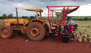 Produtor transforma sucata em máquinas agrícolas, revoluciona o plantio de abacaxi e conquista a Ásia
