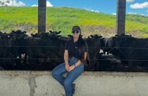 pamela pontes confinamento pecuarista frigorifico