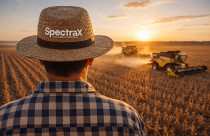 spectrax embargos e desmatamento