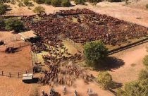terra rural australia chaozao