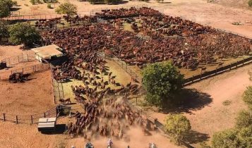 terra rural australia chaozao