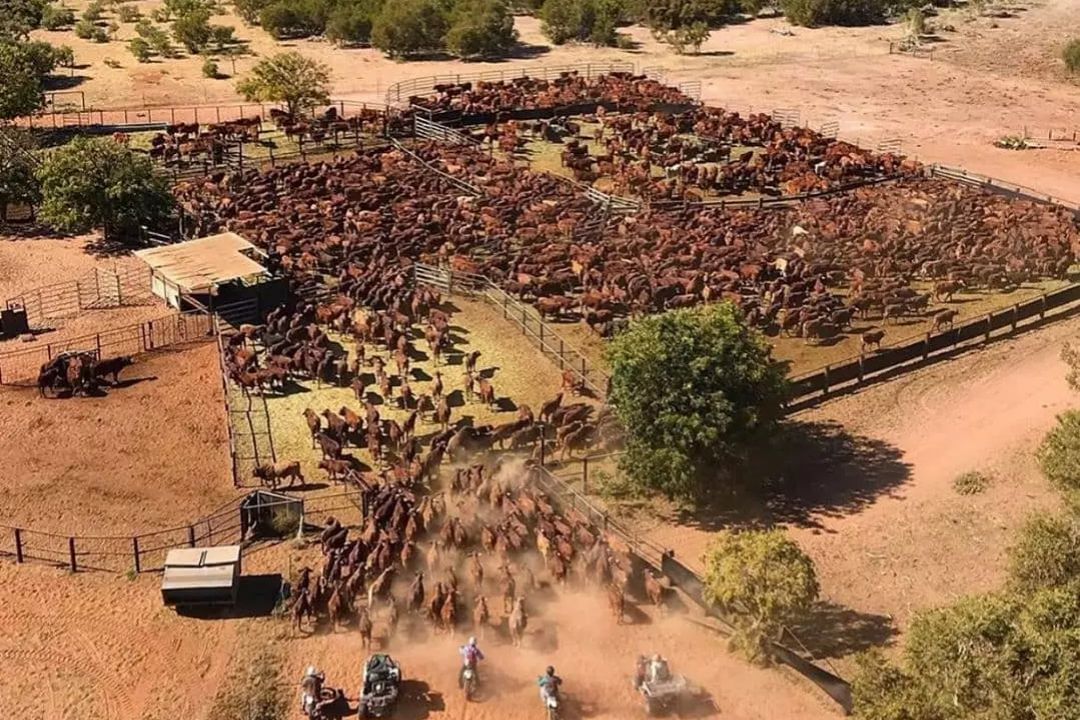 terra rural australia chaozao