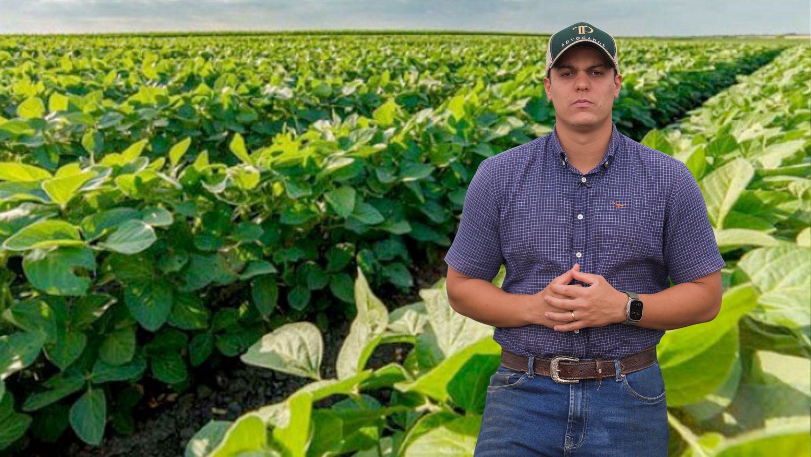 tulio parca advogados - plantio de soja 2