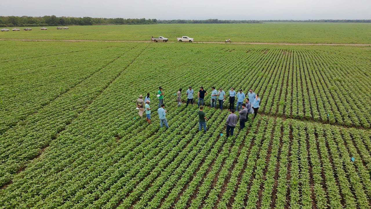 Sumitomo Chemical expande Expedição de Produtividade e já alcança mais de 5 milhões de hectares visitados no BR
