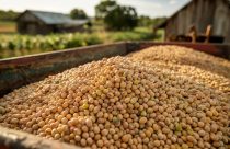 Perdas pós-colheita pressionam rentabilidade do agronegócio em safra recorde de grãos em 2026