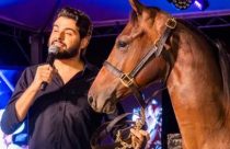 Zé Neto dá cavalo Quarto de Milha a Cristiano e presente impressiona fãs aos 15 anos da dupla