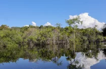 Governo levantou R$ 179 bi desde 2023 para transição ecológica
