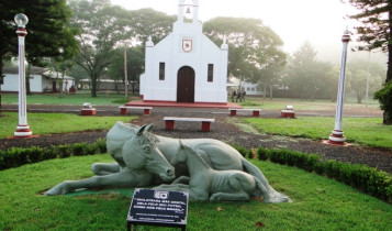 Conheça a fazenda do Exército que forja e exporta cavalos militares