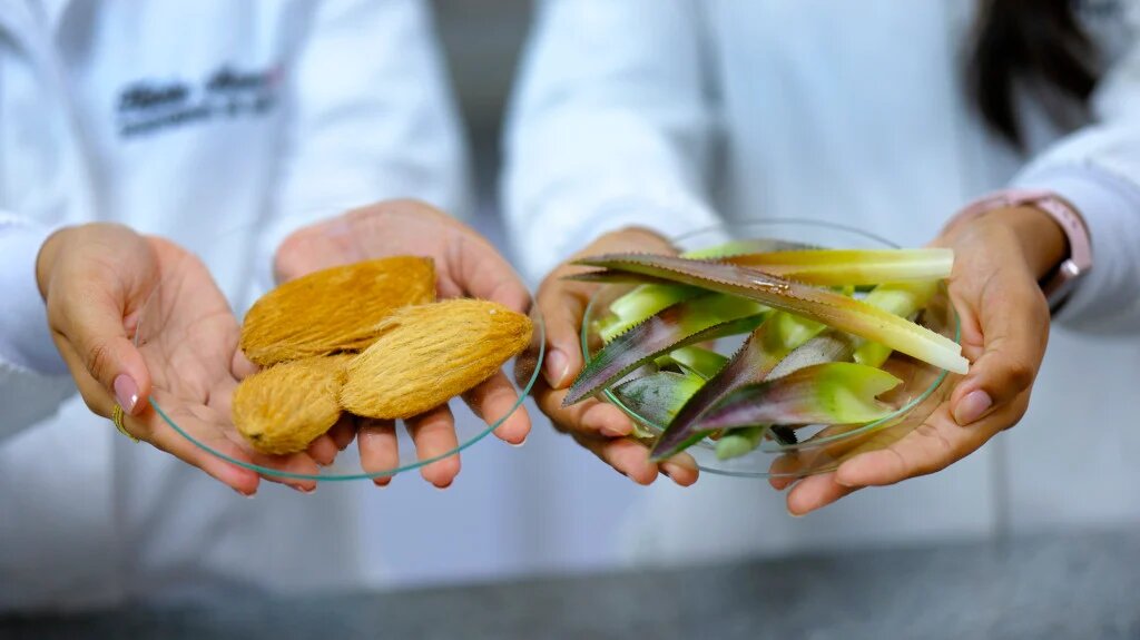 Pesquisa transforma restos de frutas em matéria-prima para cosméticos e embalagens sustentáveis