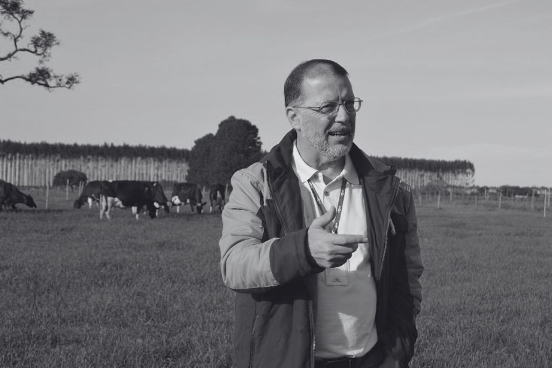 Arthur Chinelato balde cheio comprerural