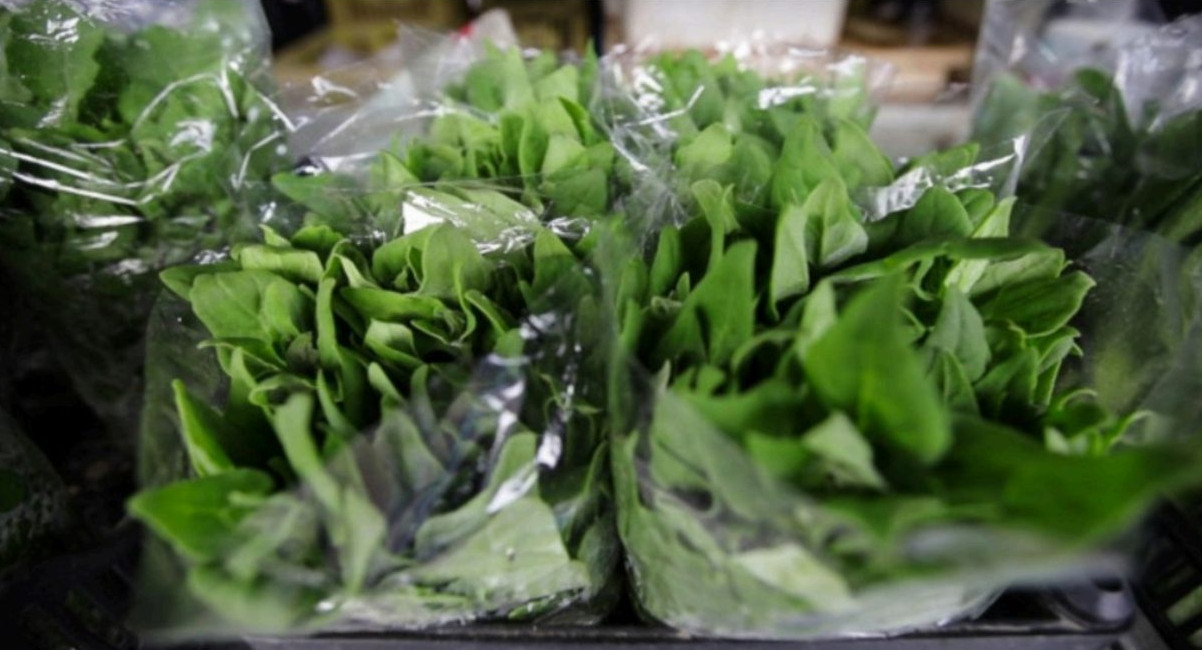 Governo de SP institui regulamentação sanitária para o setor de produtos de origem vegetal