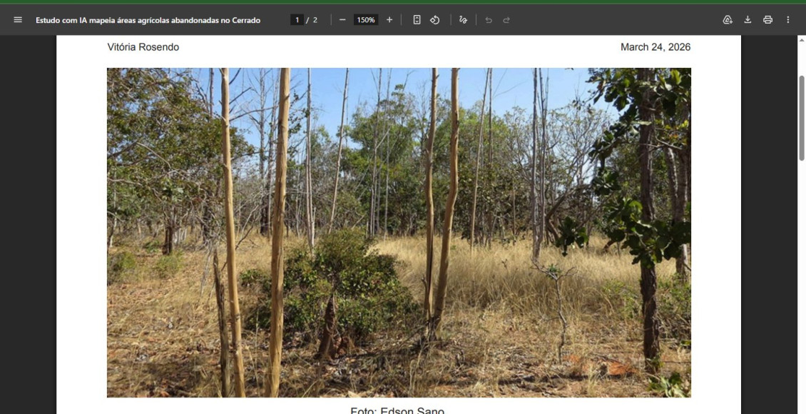 Nova pesquisa usa Inteligência Artificial para identificar fazendas inativas no Cerrado