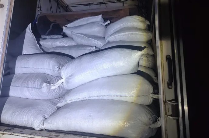 Apreensão de 30 toneladas de amêndoas de cacau é avaliada em R$ 744 mil