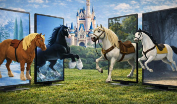 Os cavalos da Disney existem na vida real? Descubra as raças por trás dos personagens