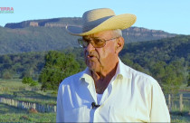 Chico Carvalho - Chico Ventania