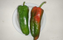 Nutec desenvolve revestimentos comestíveis e filmes biodegradáveis para conservação de alimentos