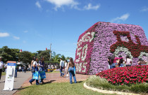 Após neutralizar 84 toneladas de CO2 em 2025, Tecnoshow COMIGO busca Selo Verde em 2026