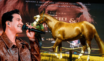 Leilão estreia com quase R$ 10 milhões e amplia força do Quarto de Milha em MT