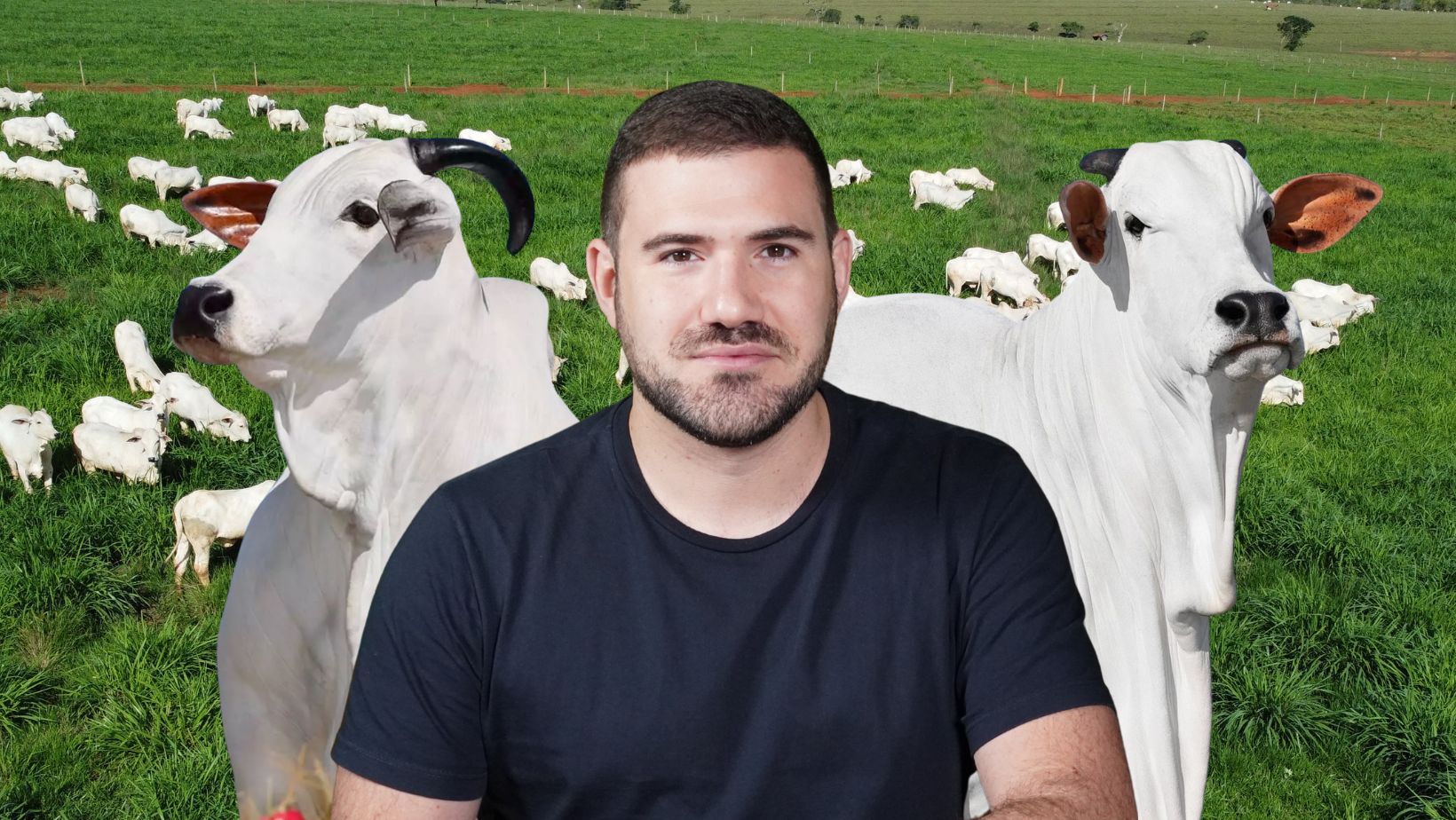 Luis Eduardo Cascao - Nelore Cascao 3