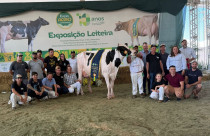 Já animais de Serafina Corrêa (RS) lideraram o Concurso Leiteiro com produções de 74,24 e 70,88 quilos em etapa do circuito Exceleite realizada em Campo Novo (RS), na Expoagro Cotricampo