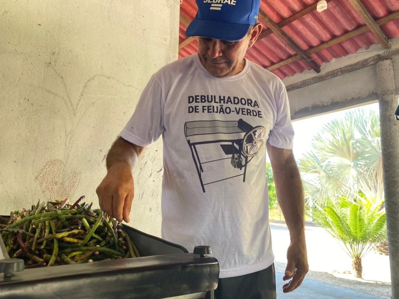 Produtor cria maquina para debulhar feijao