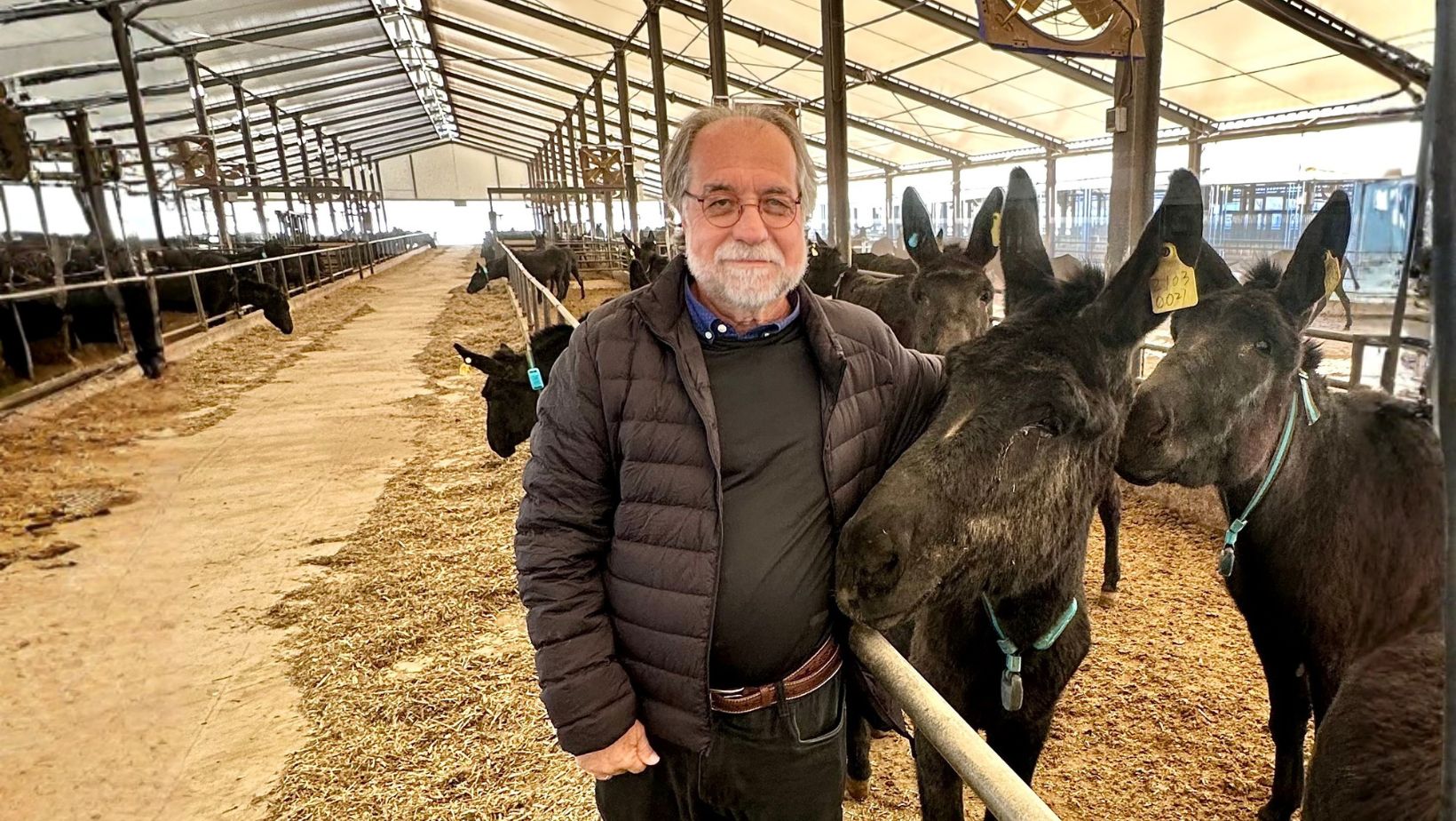 Professor Gustavo Carneiro em visita a fazenda selecionadora de jumentos na China - 1