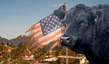Projeto no Senado pode quebrar gigantes da industria da carne nos Estados Unidos